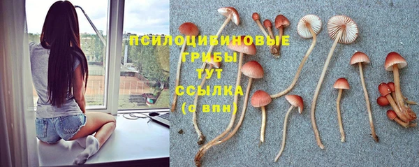 трава Дмитриев