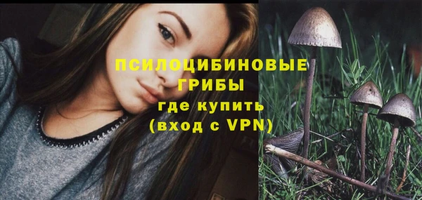 трава Дмитриев