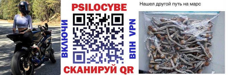 Псилоцибиновые грибы GOLDEN TEACHER что такое Змеиногорск